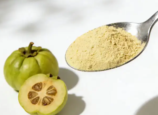 Garcinia Extract — appetite support ingredient