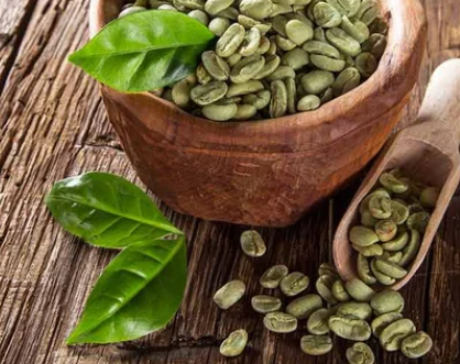 Green Coffee Bean Extract — metabolic support ingredient