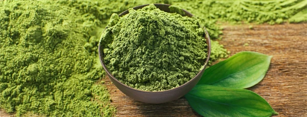 Green Tea Extract — antioxidant support ingredient