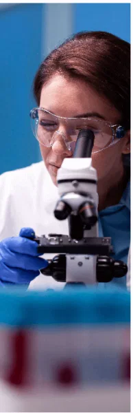 How SodaSlim works — metabolism and appetite support